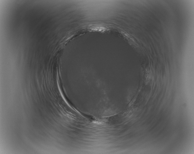 X0000065991394200603061245