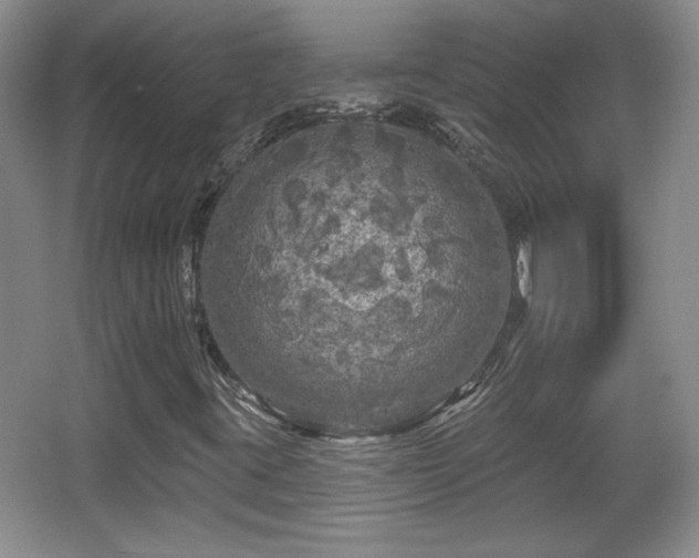 X0000065991395200603061245