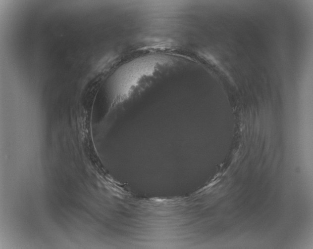X0000065991399200603061245