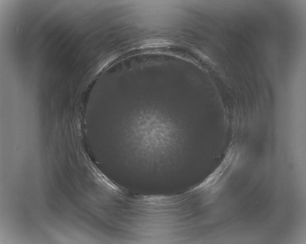 X0000065991401200603061245