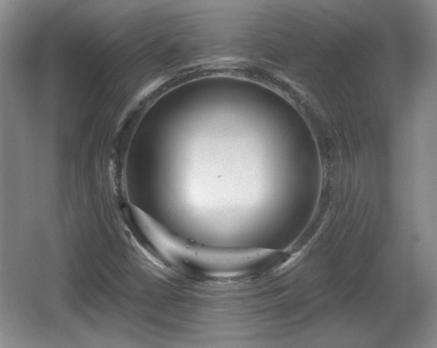 X0000065991402200603061245