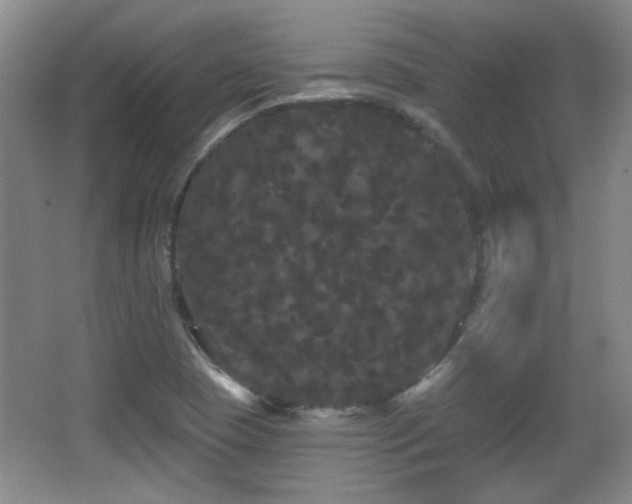 X0000065991409200603061245