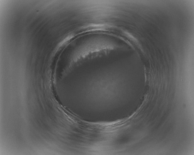 X0000065991411200603061245