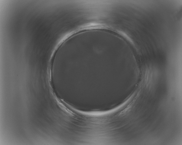 X0000065991413200603061245