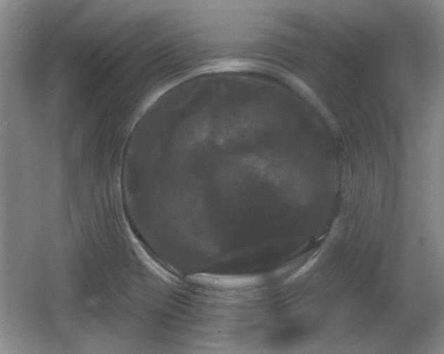 X0000065991417200603061245