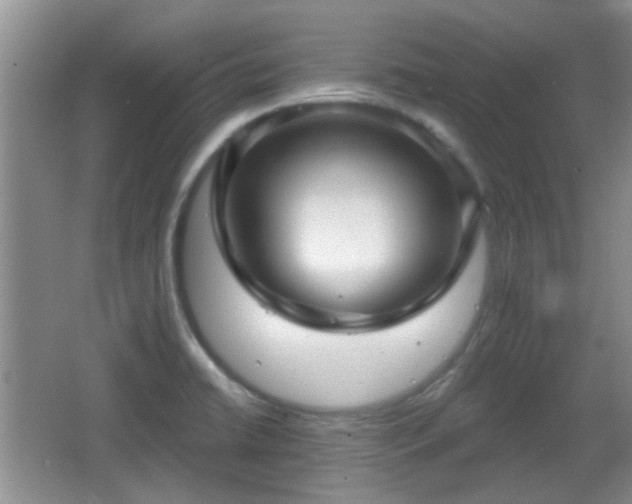 X0000065991422200603061246