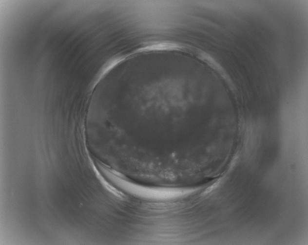 X0000065991425200603061246