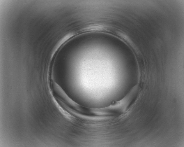 X0000065991426200603061246