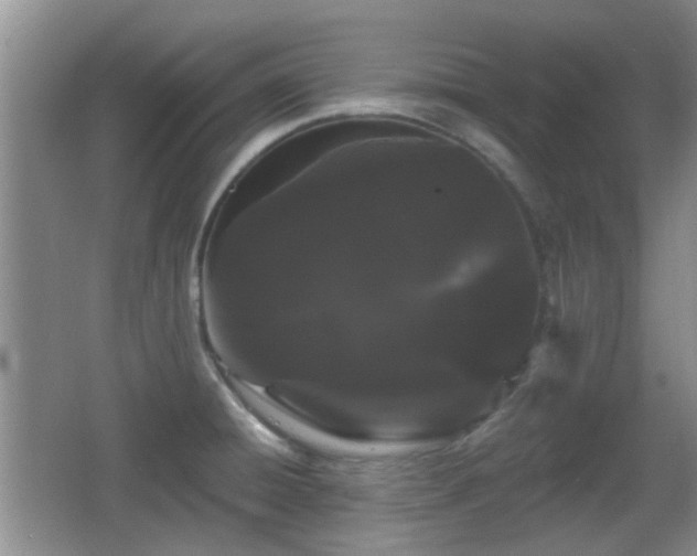 X0000065991428200603061246