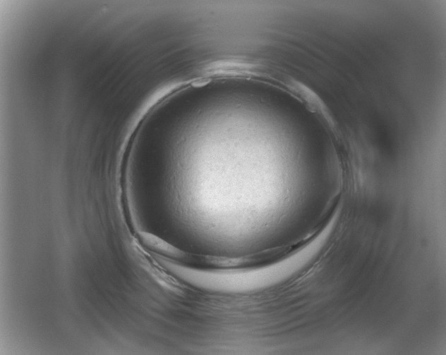 X0000065991435200603061246