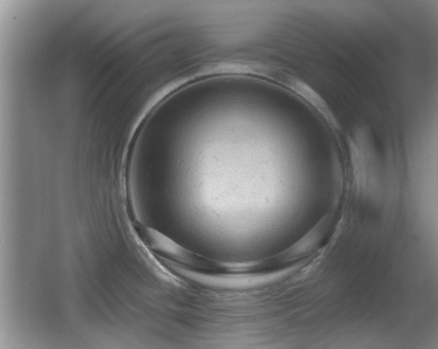X0000065991436200603061246