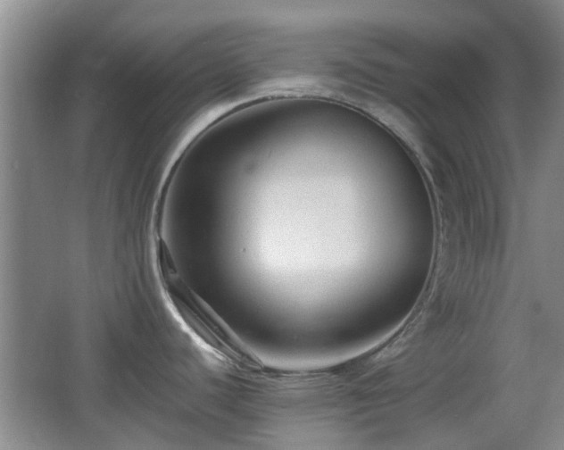 X0000065991440200603061246