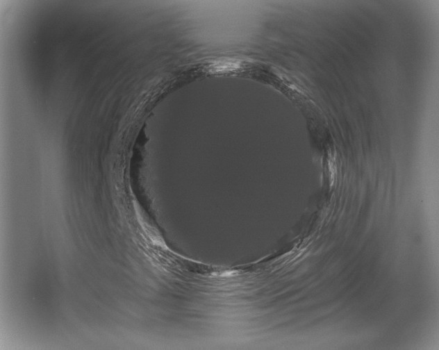 X0000065991441200603061245