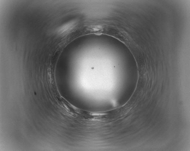 X0000065991442200603061245