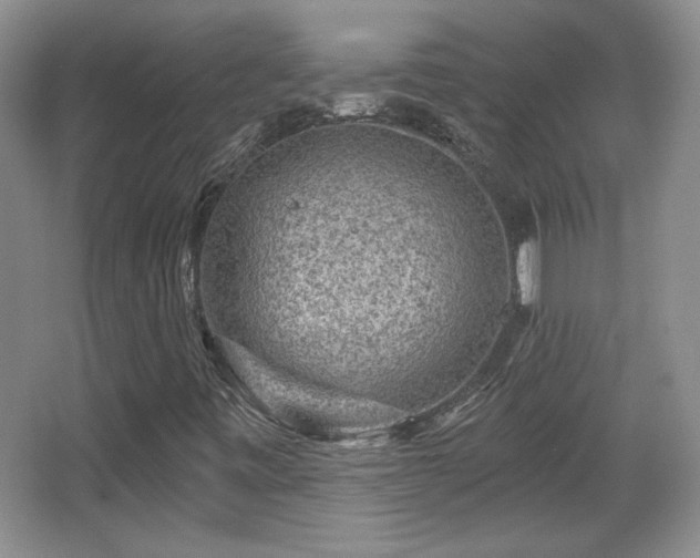 X0000065991443200603061245