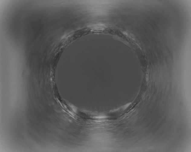 X0000065991445200603061245