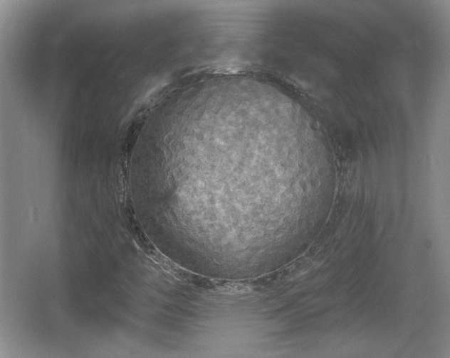 X0000065991446200603061245