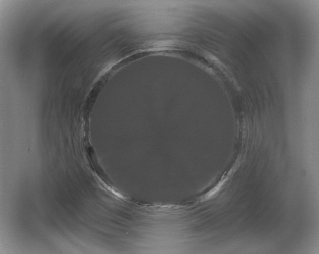 X0000065991449200603061245