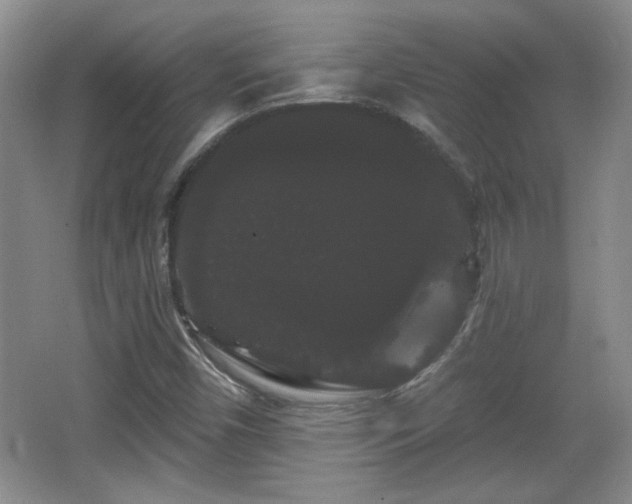 X0000065991450200603061245