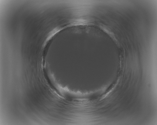 X0000065991453200603061245