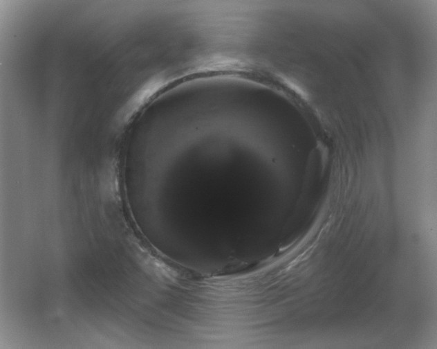 X0000065991455200603061245