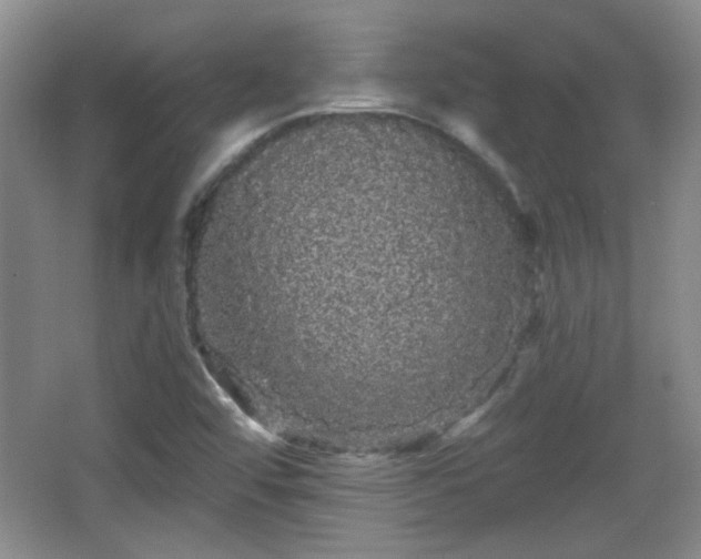 X0000065991456200603061245