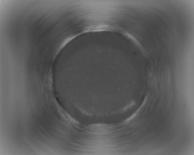 X0000065991457200603061245