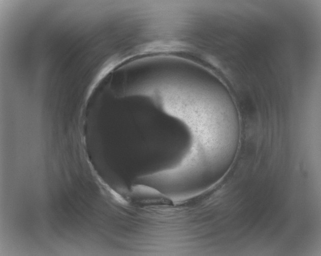 X0000065991459200603061245