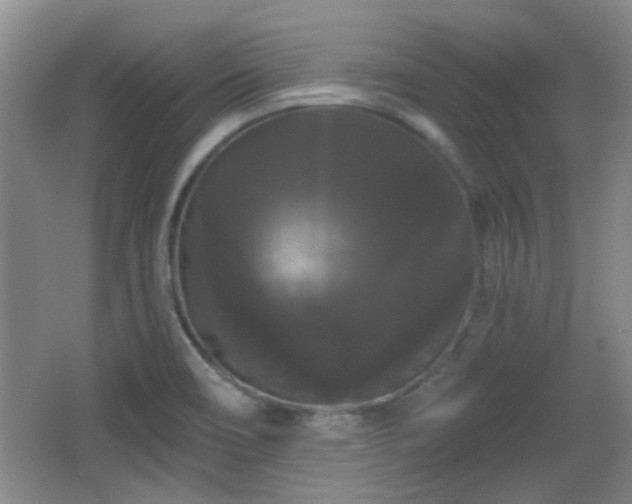 X0000065991466200603061245