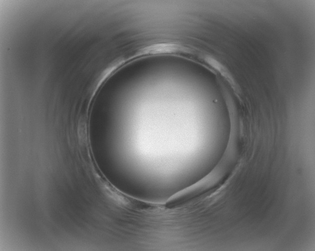 X0000065991473200603061245
