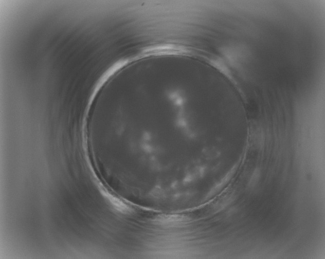 X0000065991474200603061245