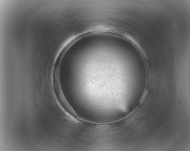 X0000065991477200603061244
