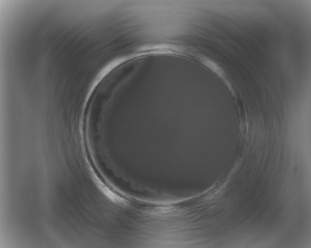X0000065991482200603061244