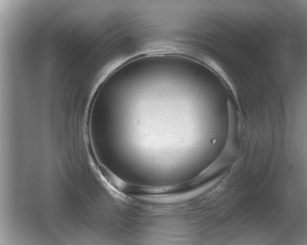 X0000065991485200603061244