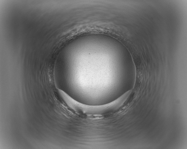 X0000065991490200603061243