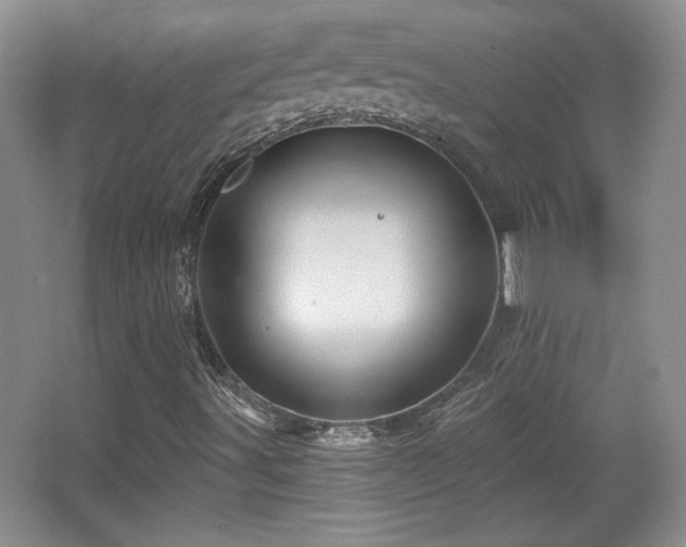 X0000065991491200603061244