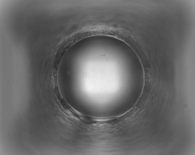 X0000065991493200603061244