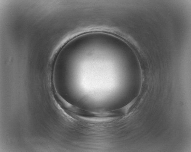 X0000065991504200603061244
