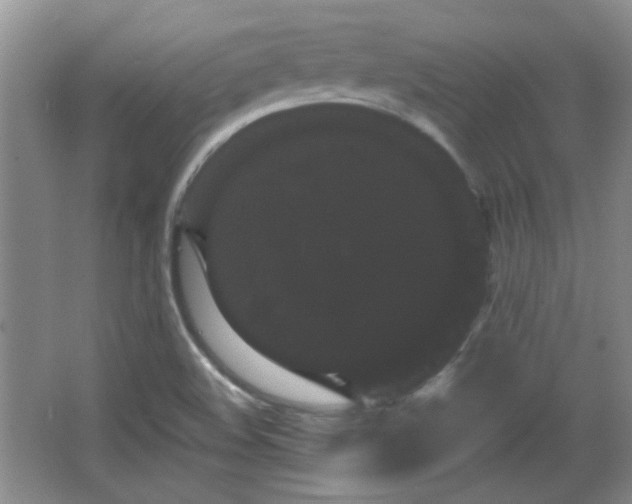 X0000065991508200603061244