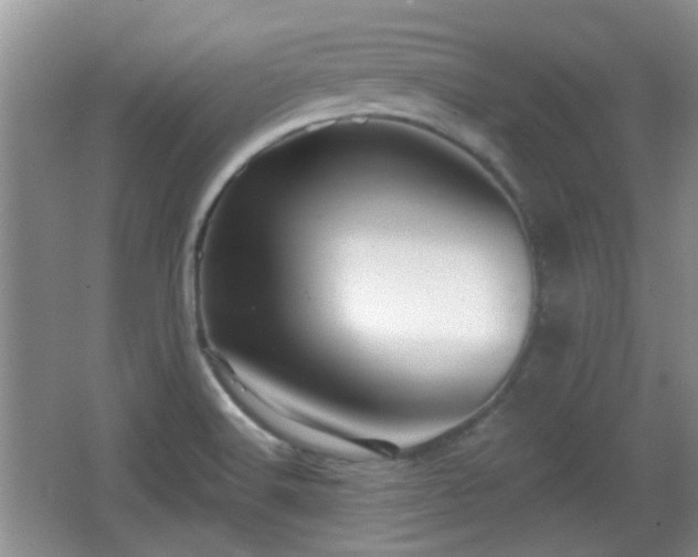 X0000065991516200603061244