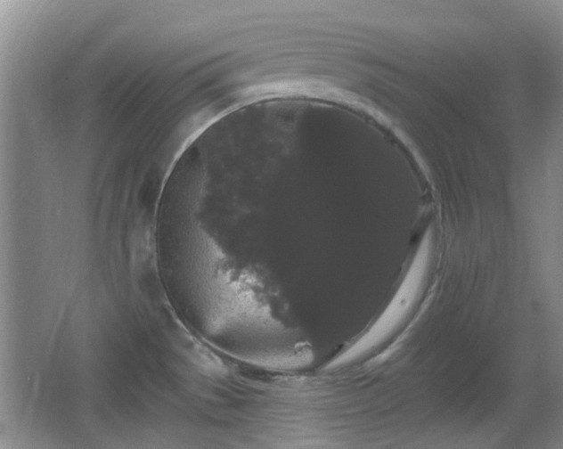 X0000065991529200603061244
