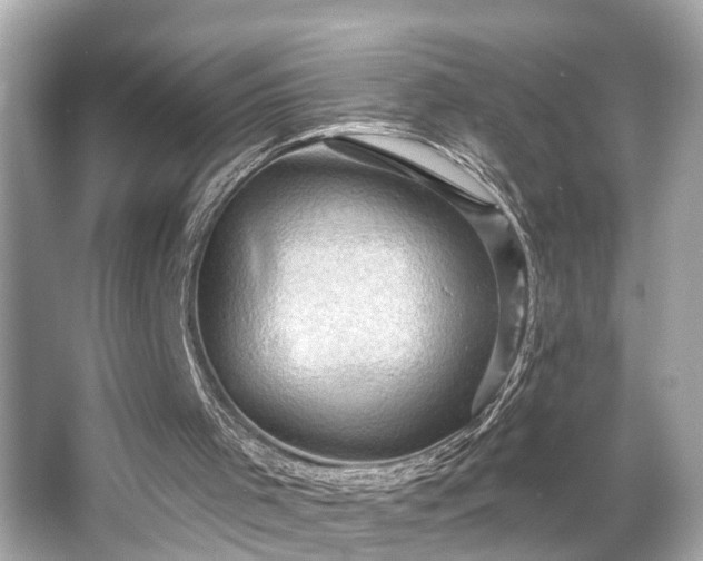 X0000065990001200603101517