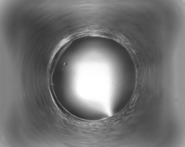 X0000065990003200603101517