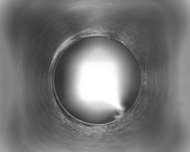 X0000065990004200603101517