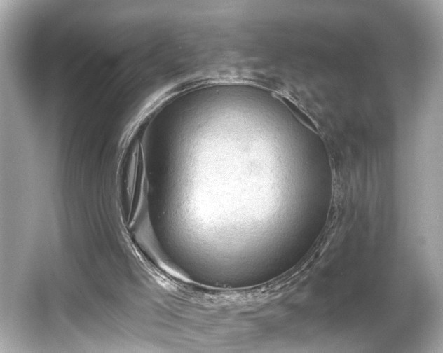 X0000065990005200603101517