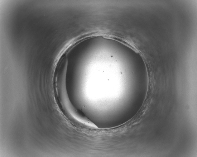 X0000065990007200603101516