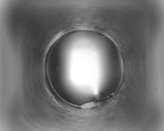 X0000065990008200603101516