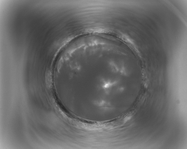 X0000065990012200603101516