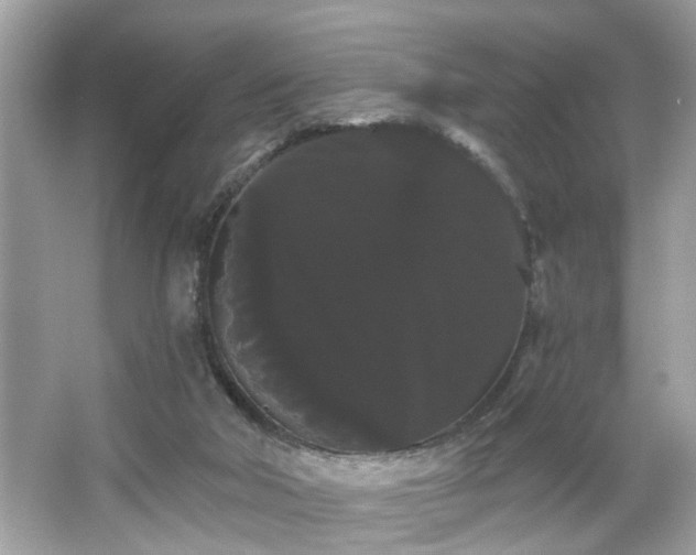 X0000065990018200603101516