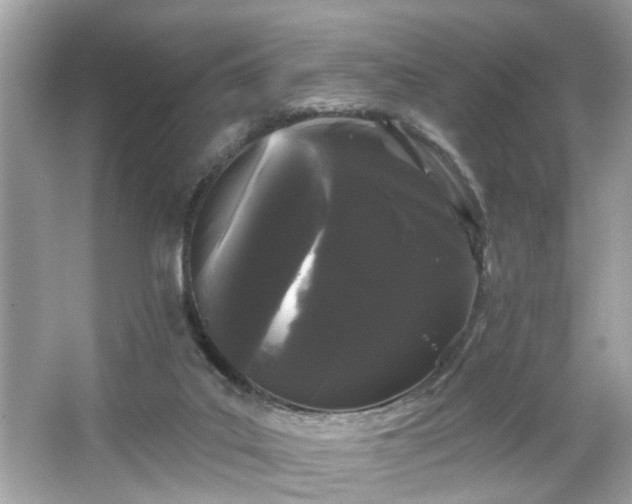 X0000065990019200603101516
